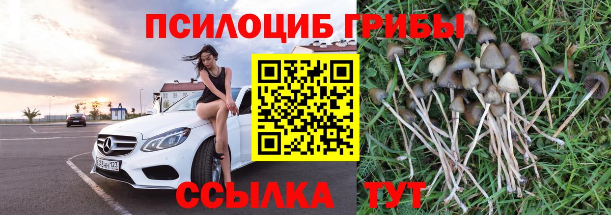 Галлюциногенные грибы мицелий Туймазы